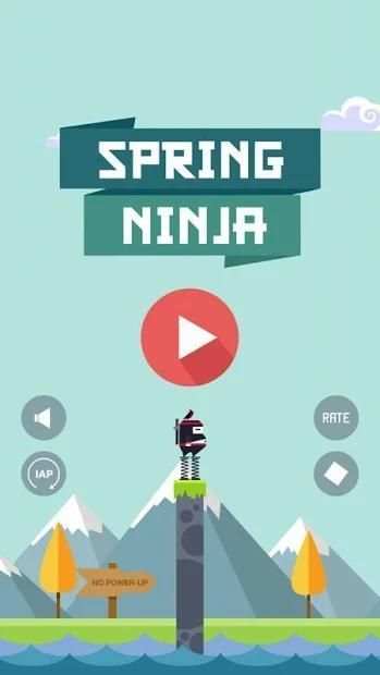 Spring Ninja screenshot 2