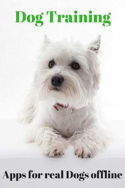 Dog Training Apps for real Dogs offline screenshot 2