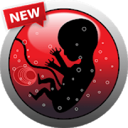 حاسبة الحمل اليومية
‎ icon