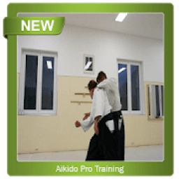 ikon Aikido Pro Training