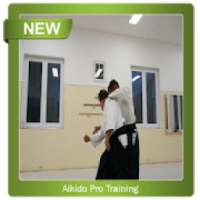 Aikido Pro Training