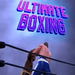 ikon Ultimate Boxing Fight