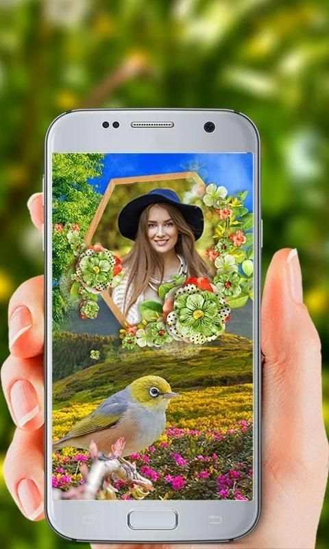 Birds Photo Frames HD screenshot 1