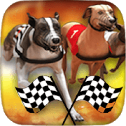 ikon Dog Racing &amp; Betting Online