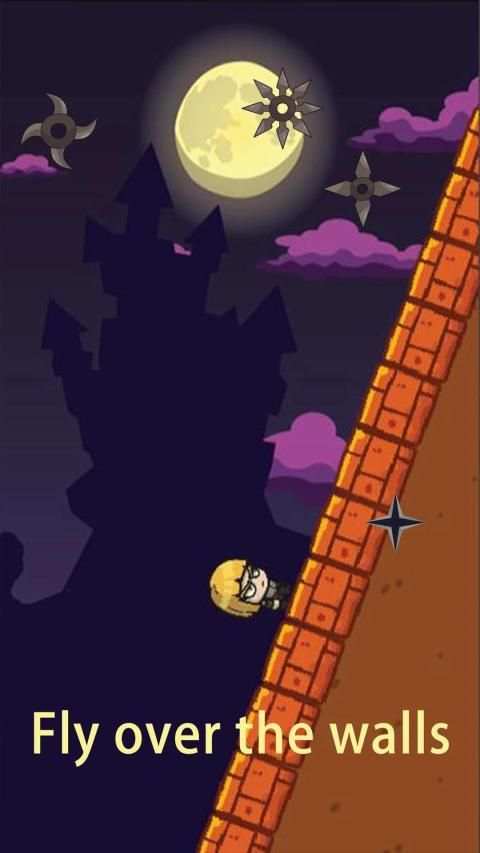 The Ninja Pirate2 screenshot 3