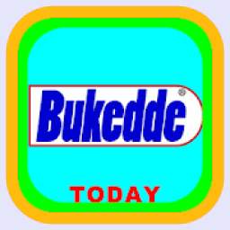 Bukkede Today