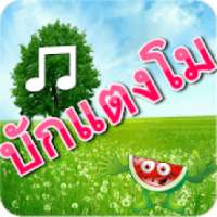 บักแตงโม ไม่ใช้เน็ต เพลง ใหม่ on 9Apps