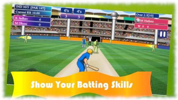 Incredible Cricket World Cup screenshot 5