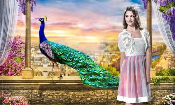 Peacock Photo Frames Novel screenshot 1