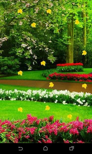 Garden Live Wallapaper screenshot 1