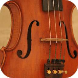 Violin Notes for Beginners