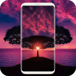 Video Caller ID, Fake Video Call, 4K Livewallpaper icon