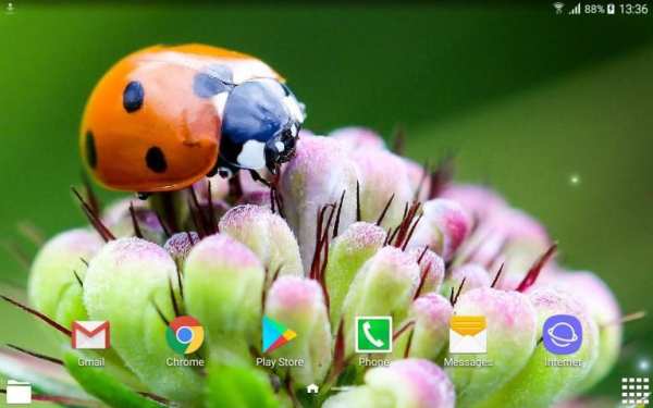 Beautiful Summer HD Wallpapers स्क्रीनशॉट 1