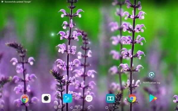 Beautiful Summer HD Wallpapers screenshot 3