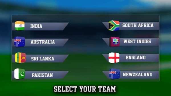 Cricket T20 Boom screenshot 3