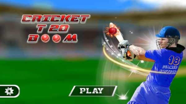 Cricket T20 Boom screenshot 6