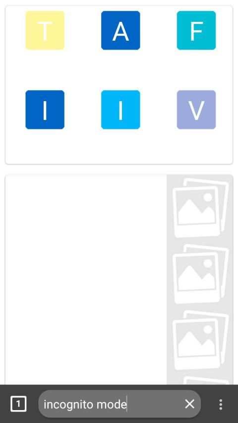 Flush web Browser screenshot 4