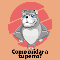 Como cuidar a tu perro icon