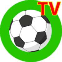 Football news: Bóng đá Tivi+