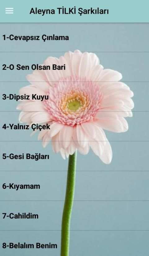Aleyna TİLKİ Şarkıları (İnternetsiz) screenshot 5