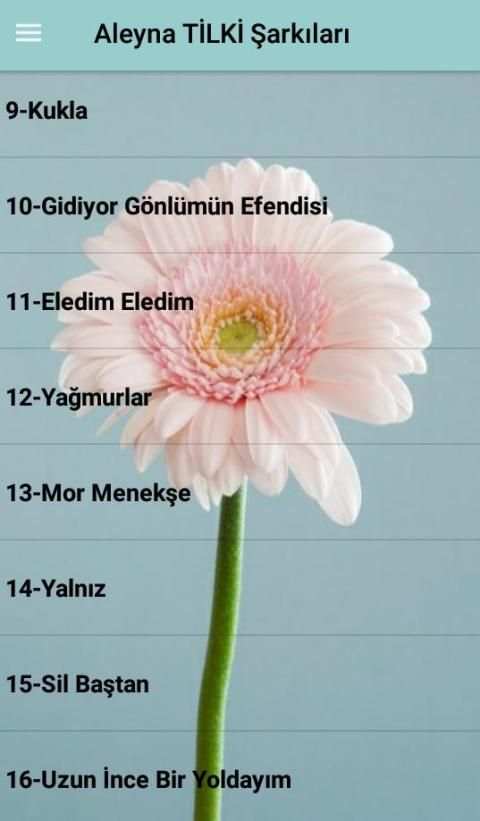 Aleyna TİLKİ Şarkıları (İnternetsiz) screenshot 3