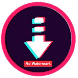 Tiktok Downloader 1.0