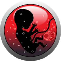 Pregnancy Calculator आइकन