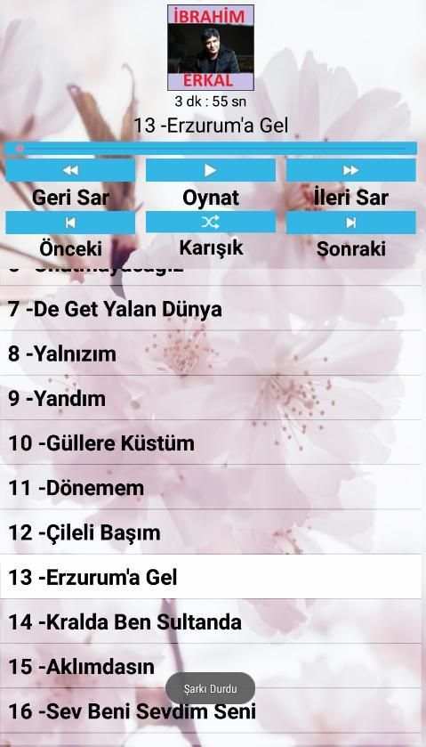 İbrahim Erkal Şarkıları(İnternetsiz) скриншот 2