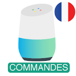 ikon Commandes Française - Google Home (Google Mini)