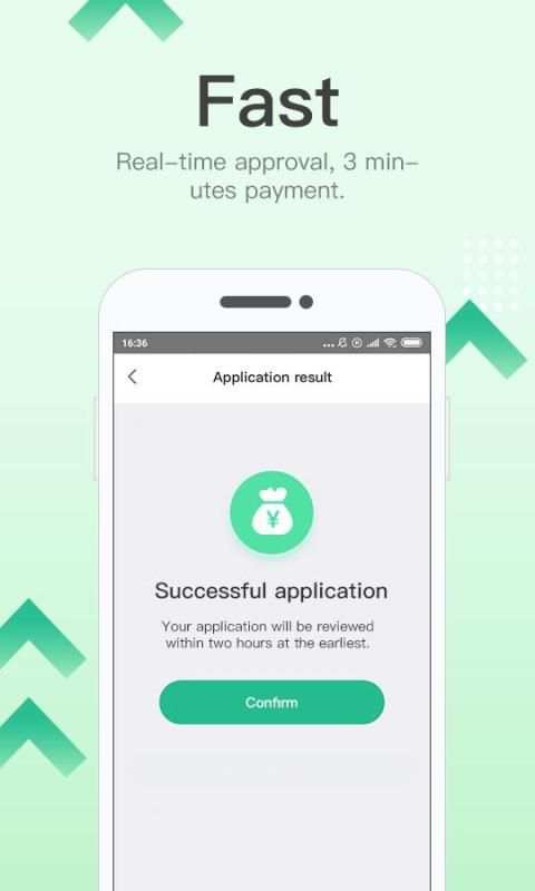 Light Cash screenshot 4