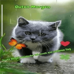 Guten Morgen &amp; Guten Abend Wünsche आइकन