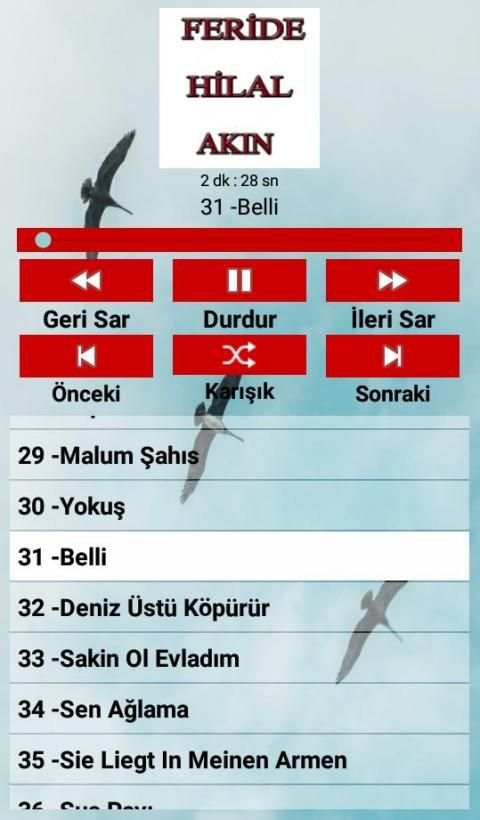 Feride Hilal AKIN Şarkıları (İnternetsiz 40 Şarkı) screenshot 4