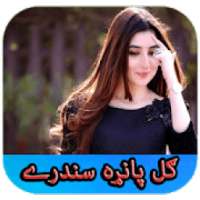 Gul Panra 2019 on 9Apps