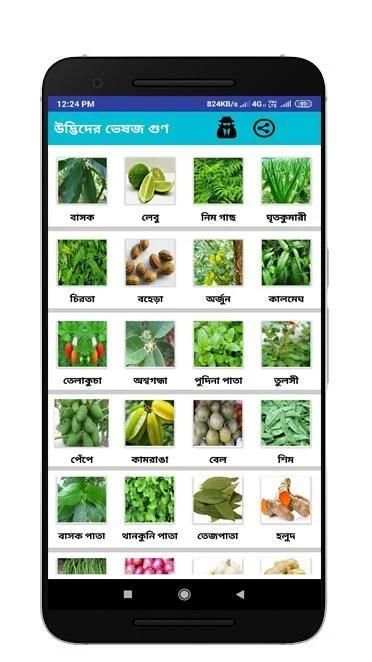 ভারতের বিভিন্ন উদ্ভিদের ভেষজ গুণ screenshot 3