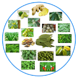 ikon ভারতের বিভিন্ন উদ্ভিদের ভেষজ গুণ