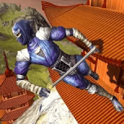 Real Ninja Assassin Samurai Warrior Hero icon