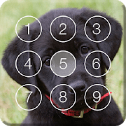 ikon Cute Black Labrador Puppies Screen Lock