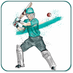 ikon Hand Cricket Game : Unlimited Fun