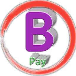 B Pay 3.2