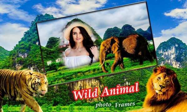 Wildlife Photo Frames Ultra HD screenshot 2
