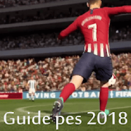ikon Guide Pes pro 2018