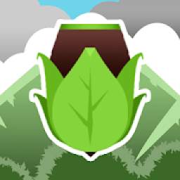 Ropo Rush 1.0.4