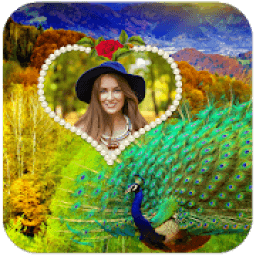 Peacock Photo Editor HD icon