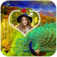 Peacock Photo Editor HD on 9Apps