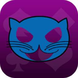 Blue cat