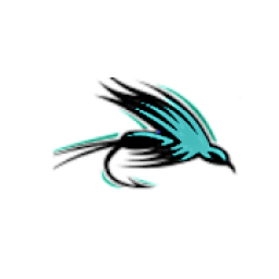 ikon Two Guys And A Mop