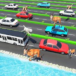 Animal Pets Traffic Highway Cross