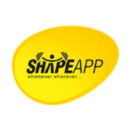 ShapeApp Agent