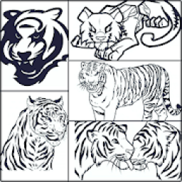 ikon How To Draw Tiger