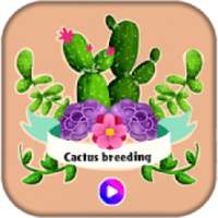 ویدیو پرورش کاکتوس - cactus breeding video
‎